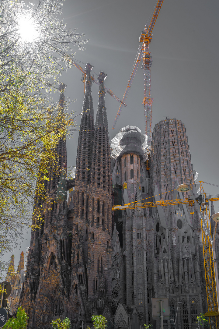 Barcelona 2018 Sagrada Familia 