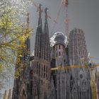 Barcelona 2018 Sagrada Familia 