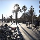 Barcelona, Boulevard, December 2013