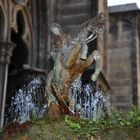 Barcelona - Brunnen im Kreuzgang der Kathedrale La Seu