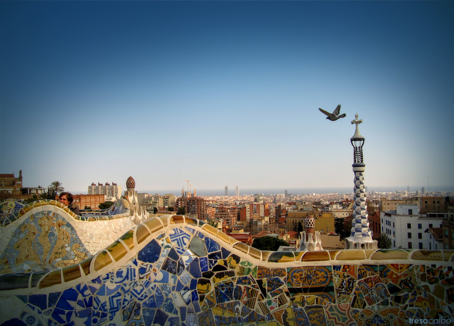 Barcelona desde el Parc Güell