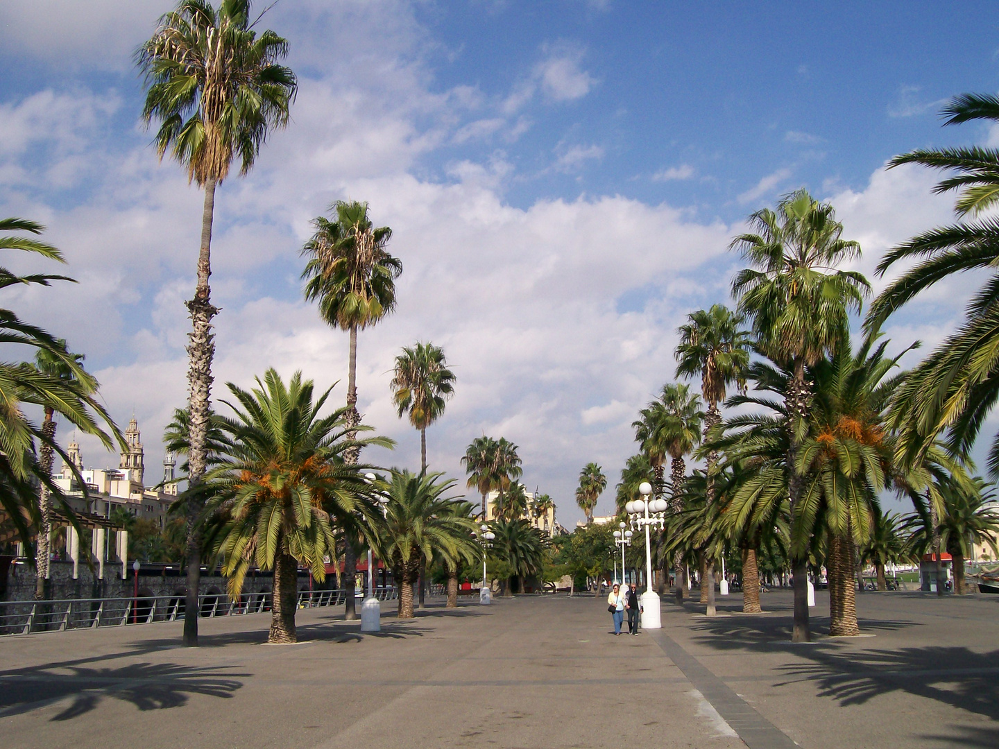 Barcelona - Die Palmenallee am Hafen