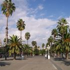 Barcelona - Die Palmenallee am Hafen