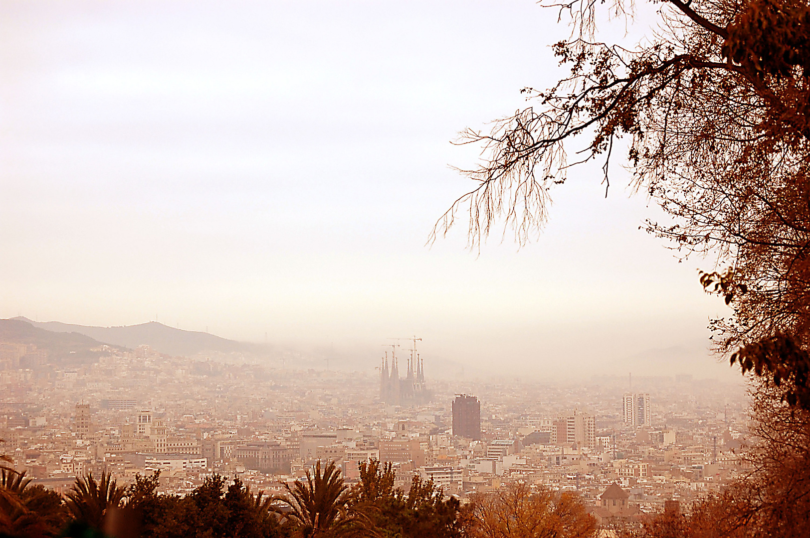 BARCELONA ENTRE LA NIEBLA