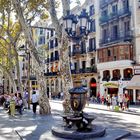 Barcelona Las Ramblas, der Canaleta-Brunnen