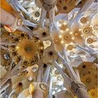 Barcelona - Sagrada Familia - Deckenansicht