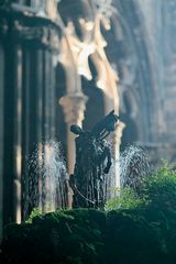 Barcelona - St.Georgsfigur im Dom