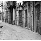 Barcelona - Streetlife