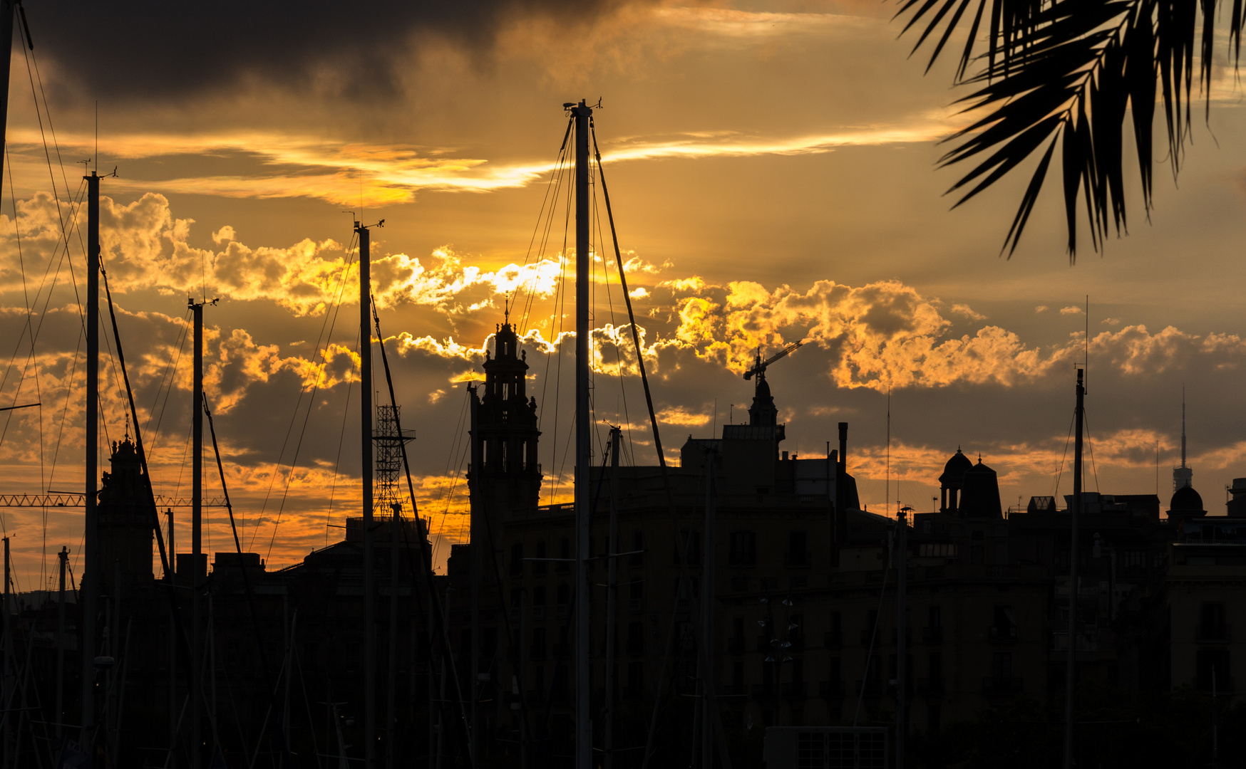 Barcelona Sundowner