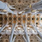 Barcelona_Sagrada Familia_05