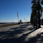 Barceloneta