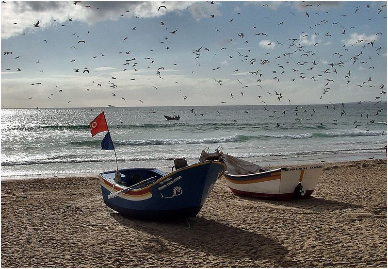 Barche Costa de Caparica Portogallo