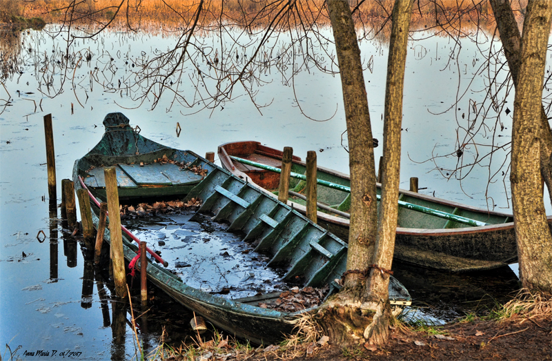 barche sui laghi mantova 2