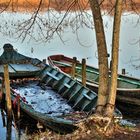 barche sui laghi mantova 2