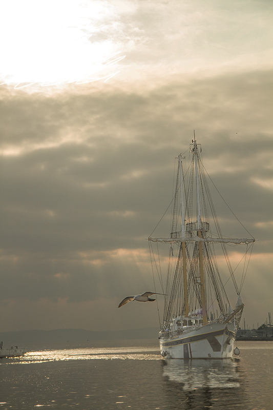 barco