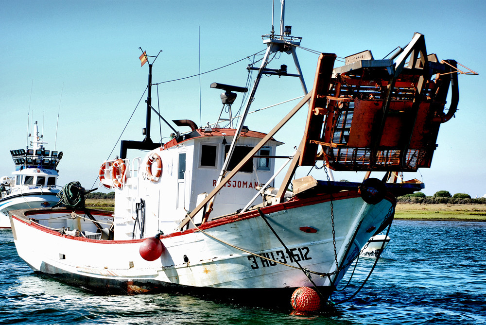 Barco pesquero