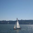 Barco velero navegando en el Tejo (Lisboa)