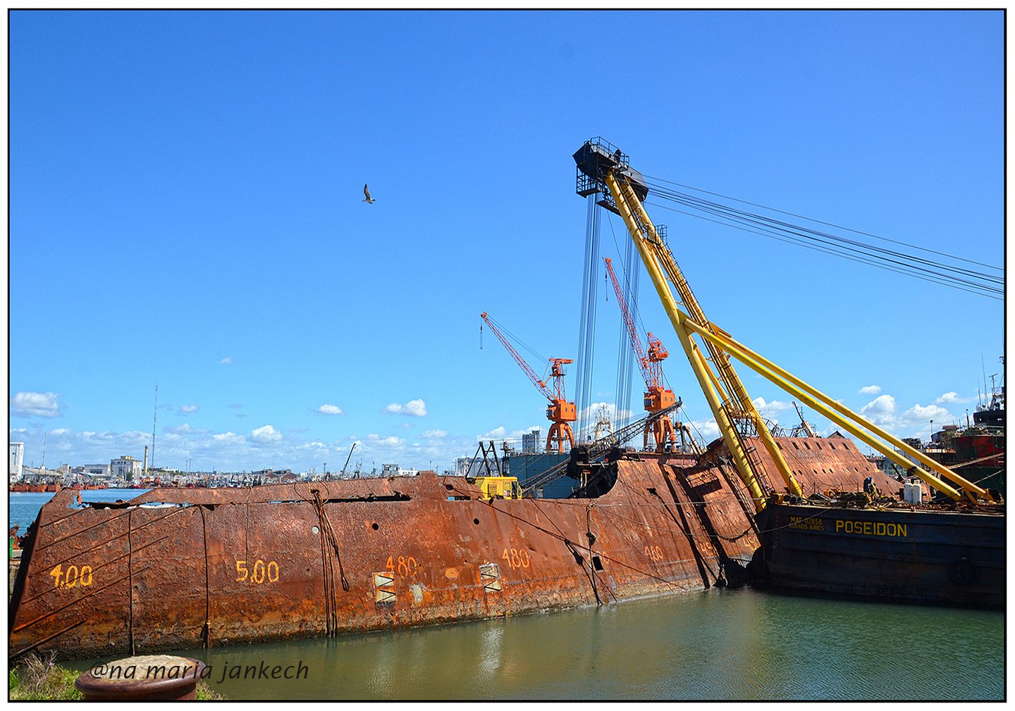 Barco viejo