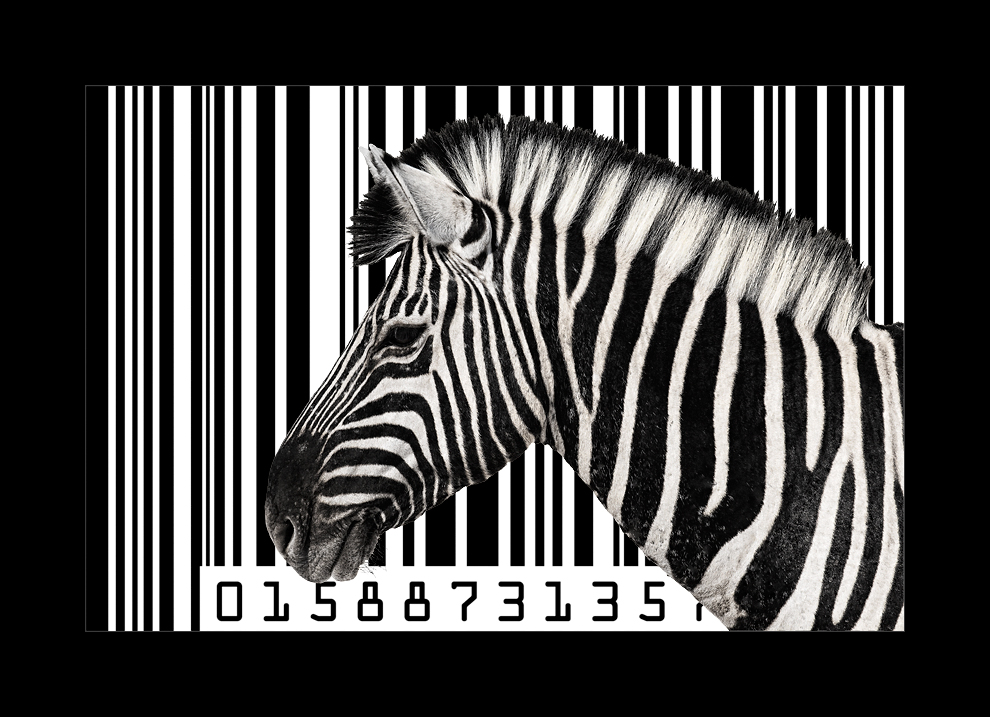 barcode