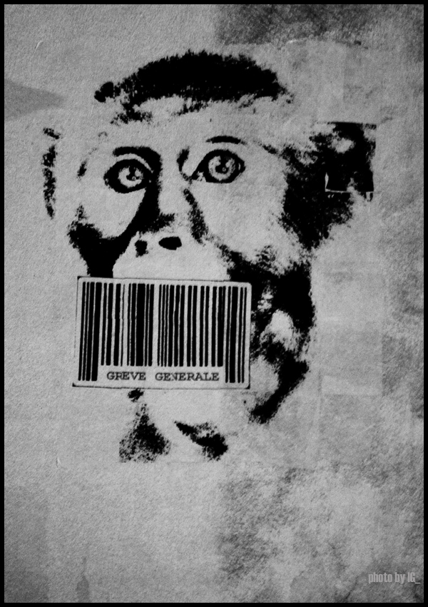 barcoded monkey on strike - paris