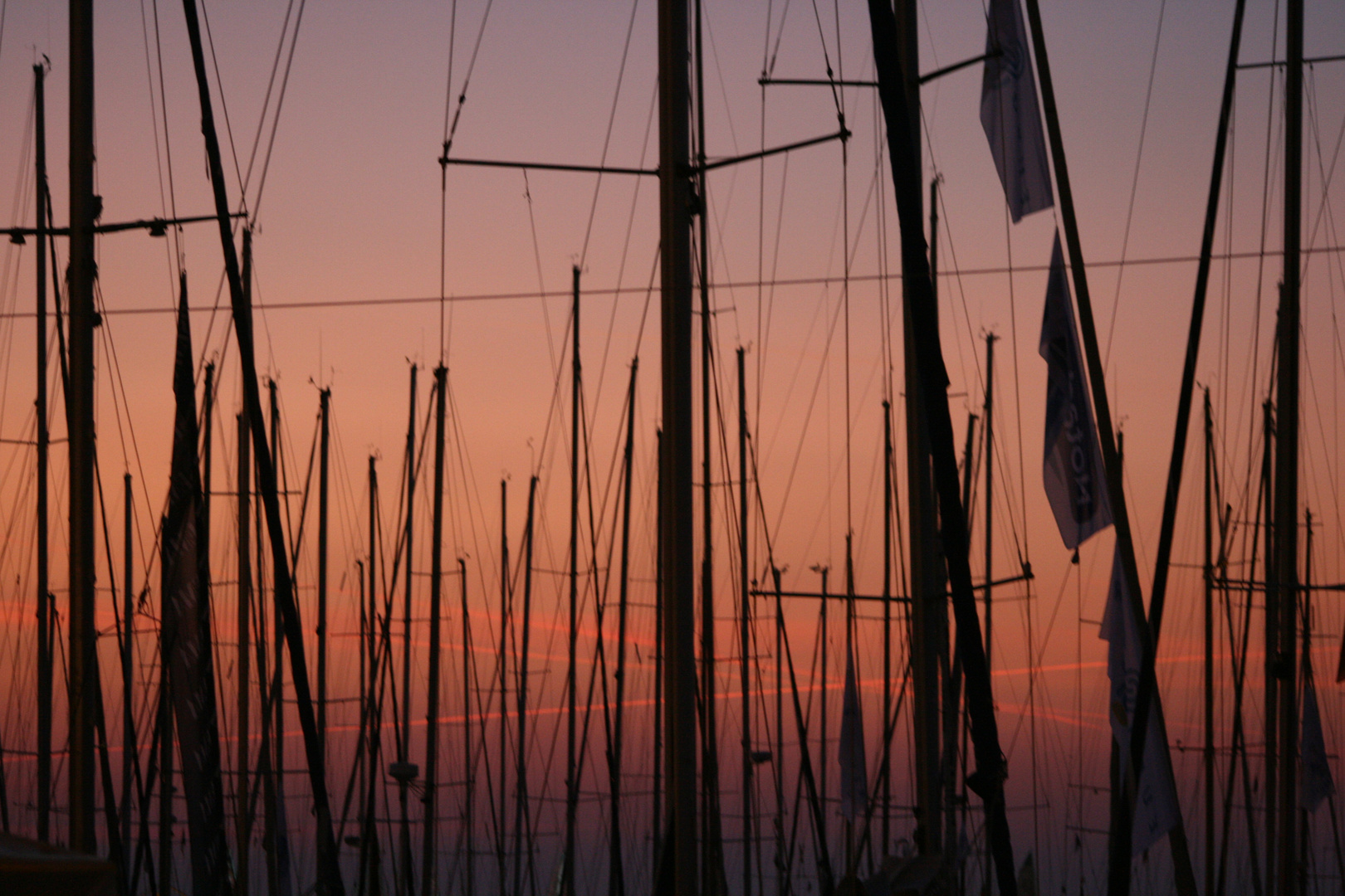 barcolana al tramonto