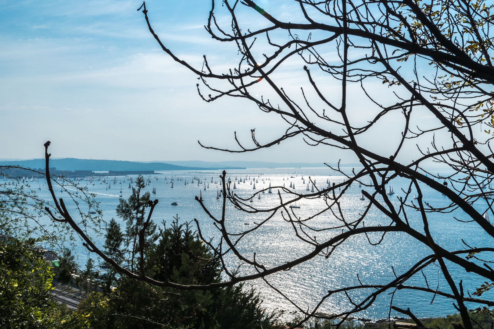 Barcolana Trieste