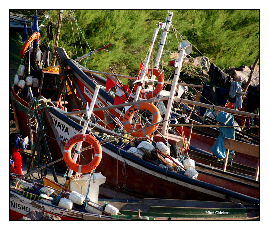 Barcos de pescadores