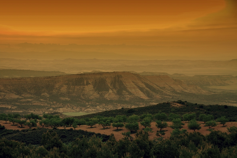 Bardenas.