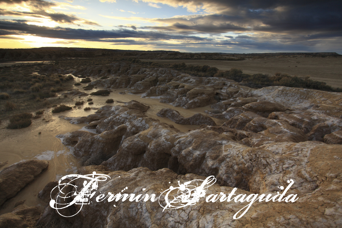 bardenas reale de navarra 7