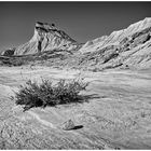 Bardenas Reales