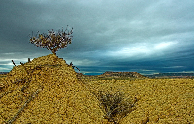 bardenas reales