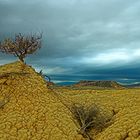 bardenas reales