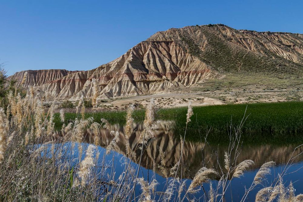 Bardenas Reales