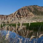 Bardenas Reales