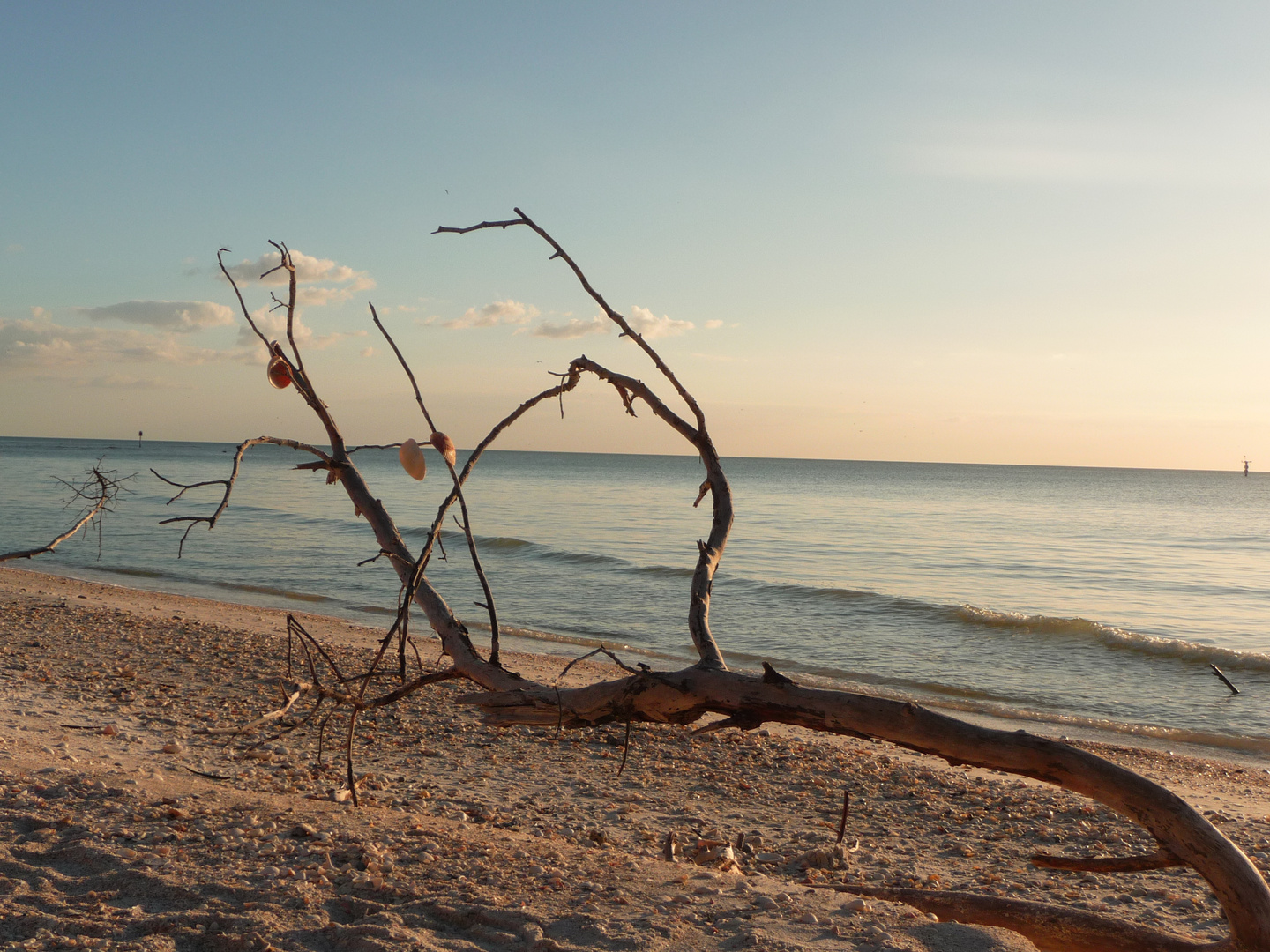 Barefoot Beach, Florida