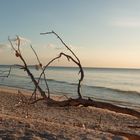 Barefoot Beach, Florida