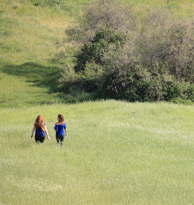 barefoot in the grass