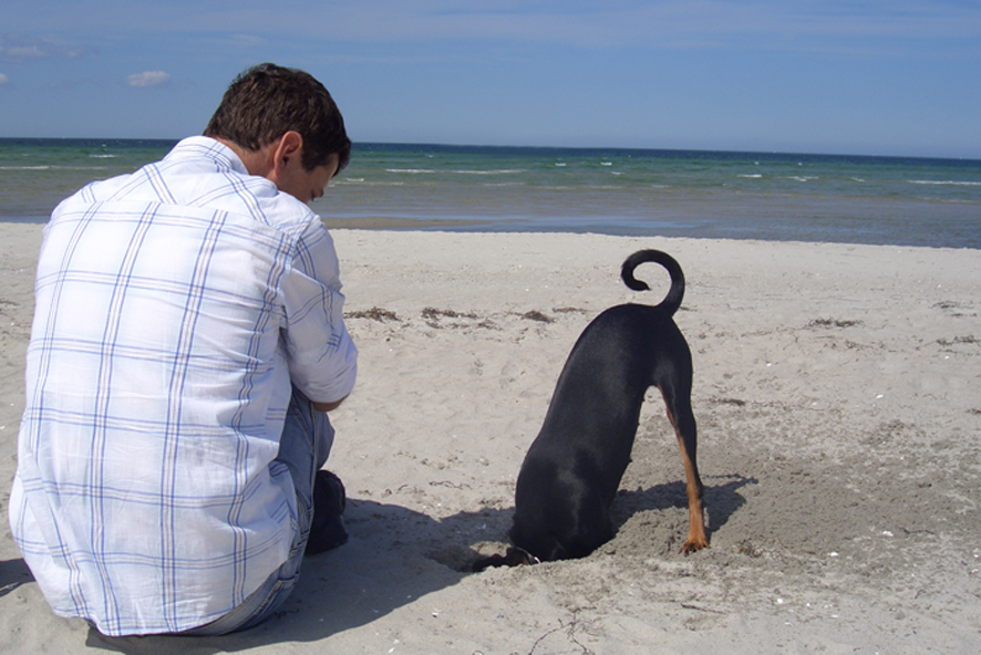 Barendorf: Wo ist die Maus ?