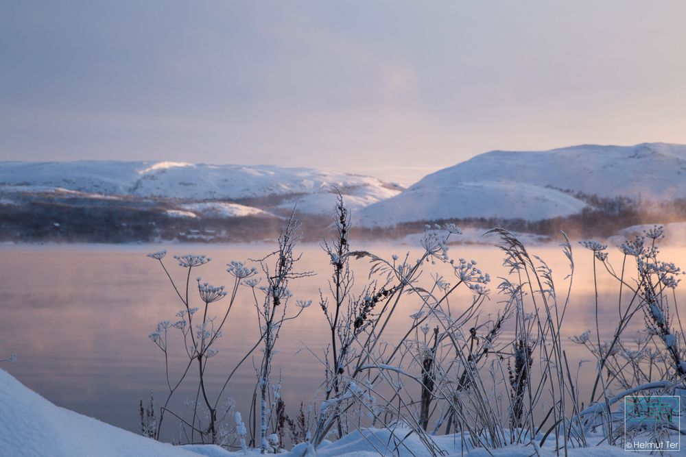 Barentssee