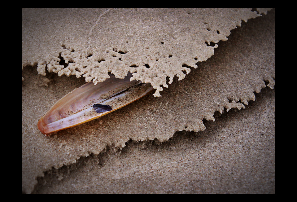 ~ barfuß am Strand ~