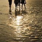 Barfuß am Strand,eines der schönsten Gefühle