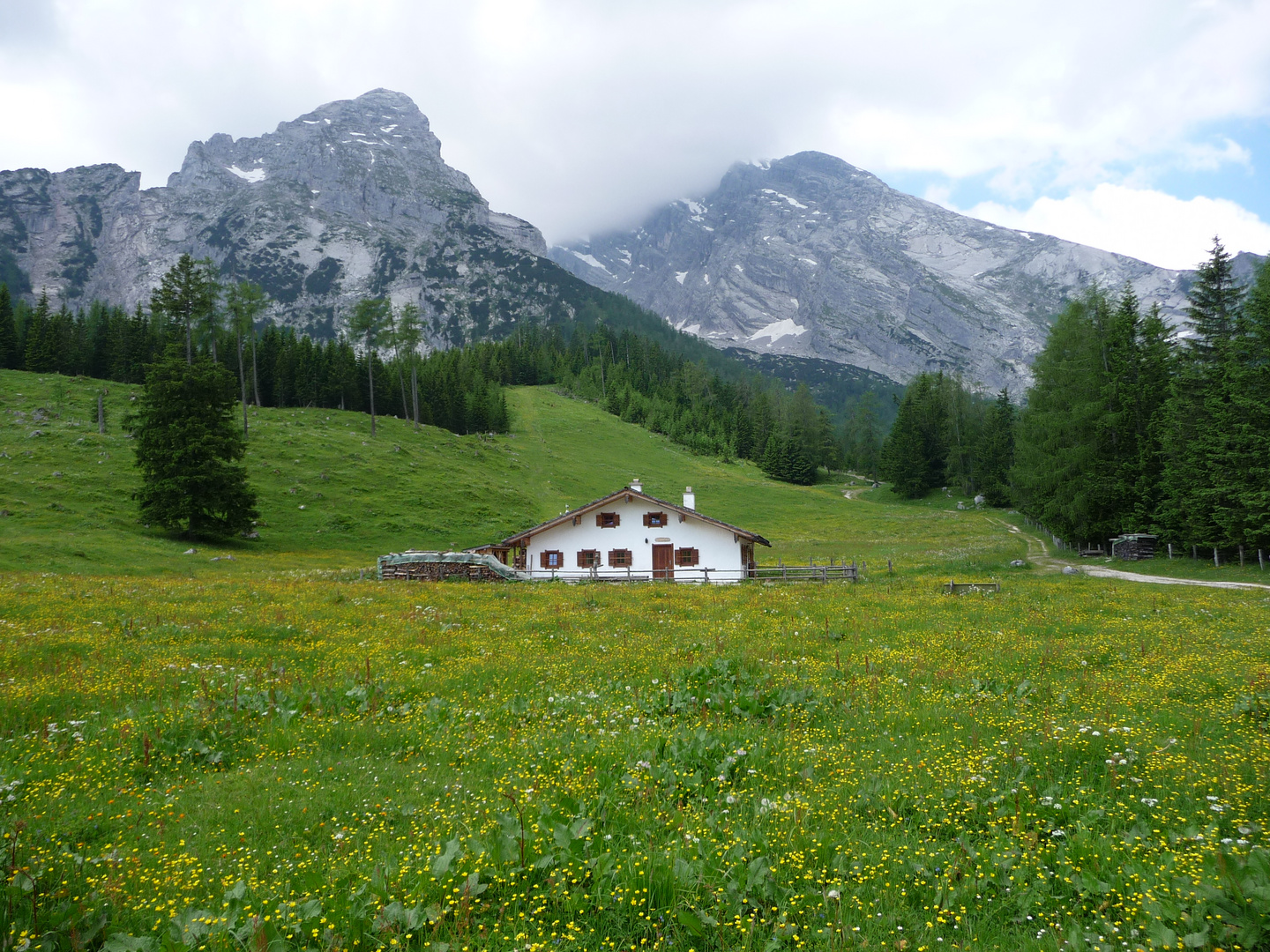 Barfuß durch die Blumenwiese...