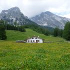 Barfuß durch die Blumenwiese...