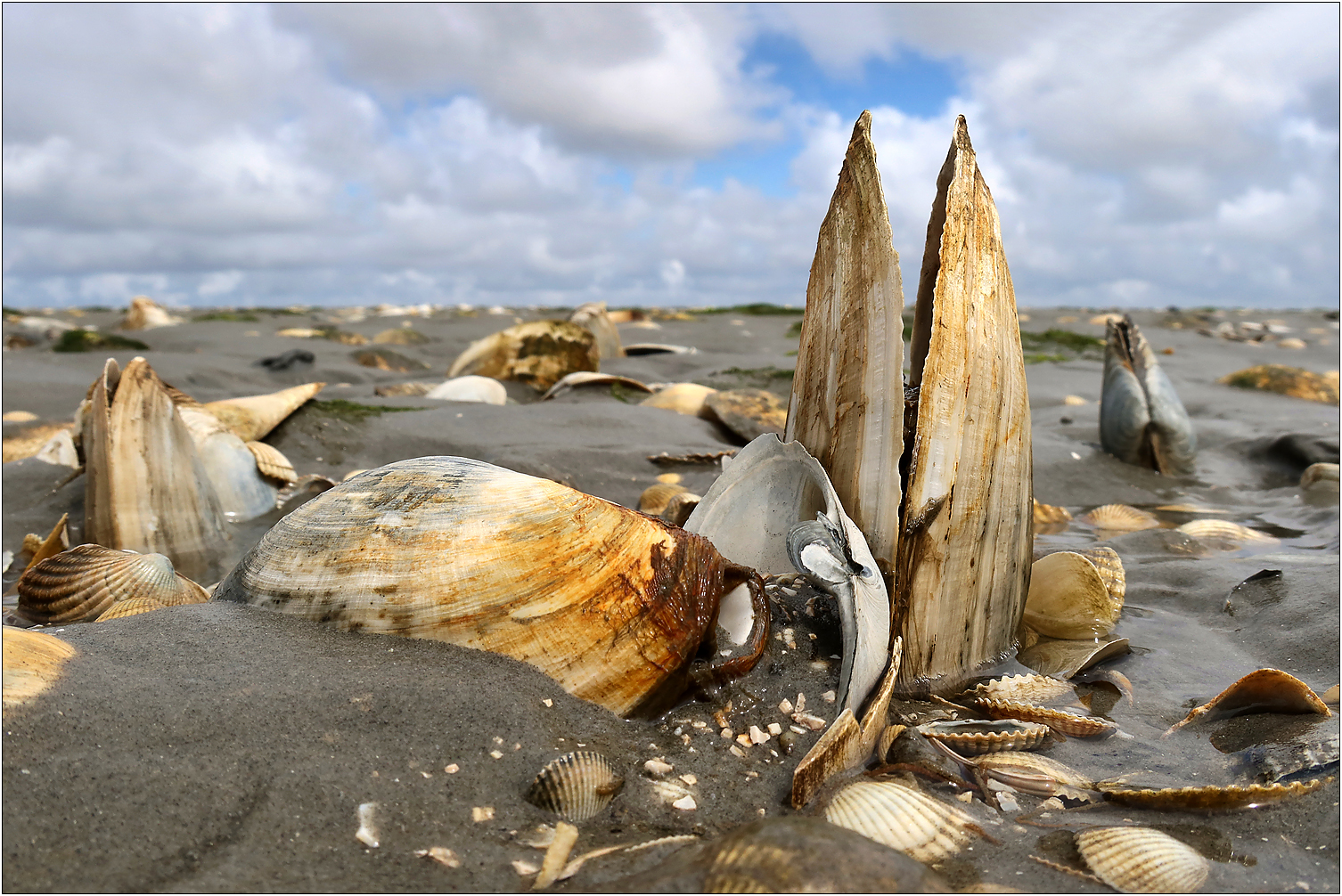 Barfuß durch´s Watt... 