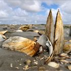 Barfuß durch´s Watt... 