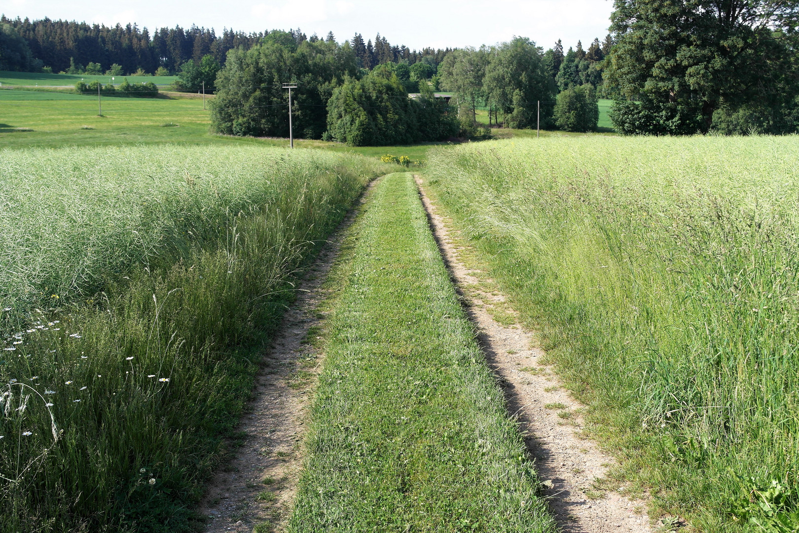 Barfußanlauf mit Sprung in den Teich