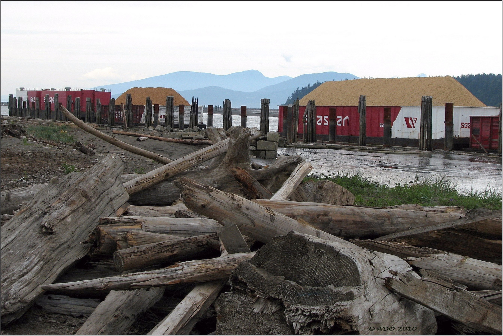 Barges on the Fraser River