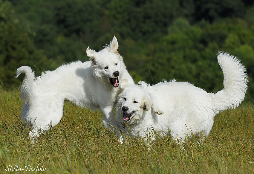 Barim und Luna