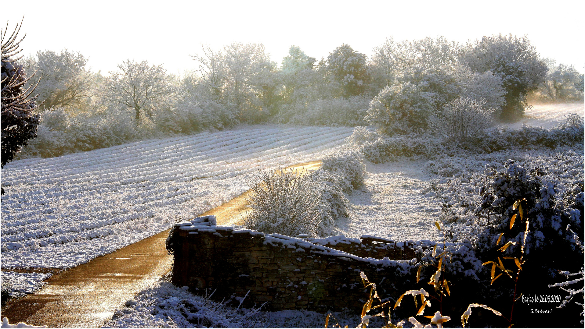 Barjac sous la neige