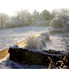 Barjac sous la neige